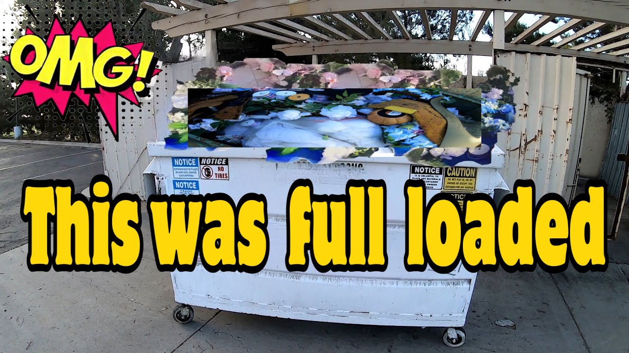 DUMPSTER DIVING - MY BIGGEST SCORE. THIS STORE IS GOING OUT OF BUSINESS
