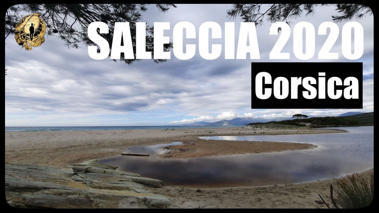 SALECCIA 2020 (CORSICA)