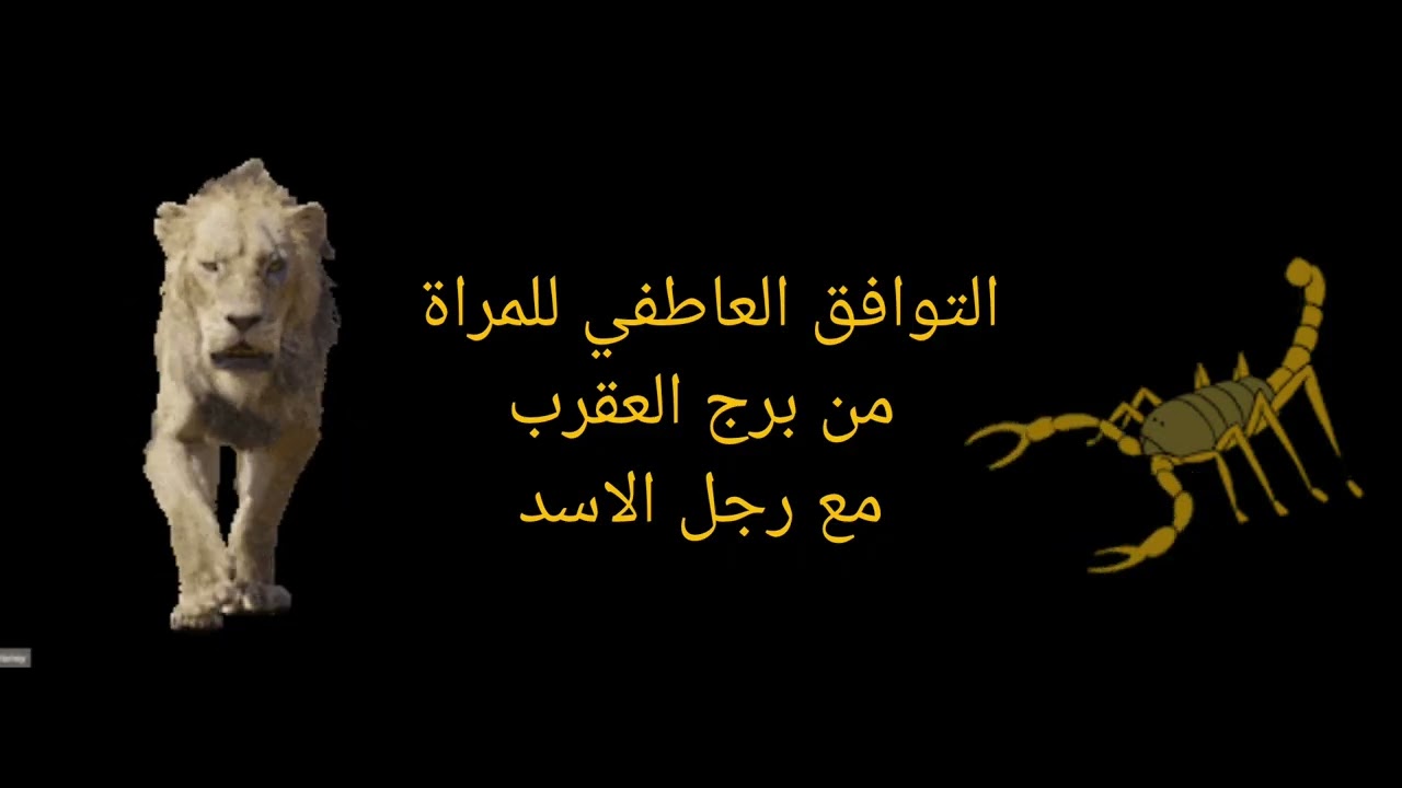 توافق المرأة العقرب والرجل الأسد: حب ناري أم صراع كرامة؟ اكتشف أسرار العلاقة بين الغموض والسيطرة