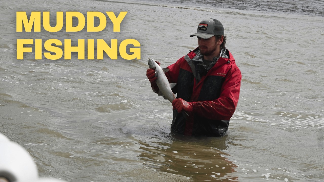 Final days Shallow water fishing for Wild Salmon