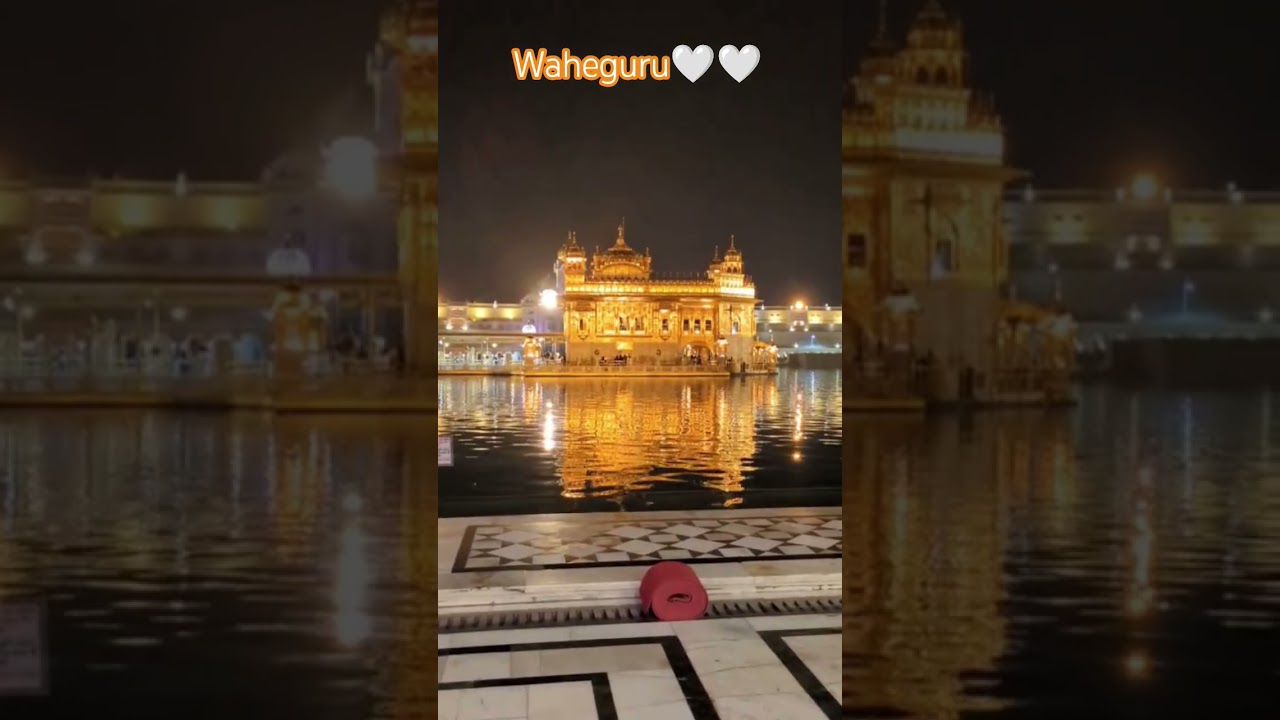 #goldentemple #amritsar #punjab #viral #status #4kstatus ##shorts #guruduwarasahibji #temple #seva