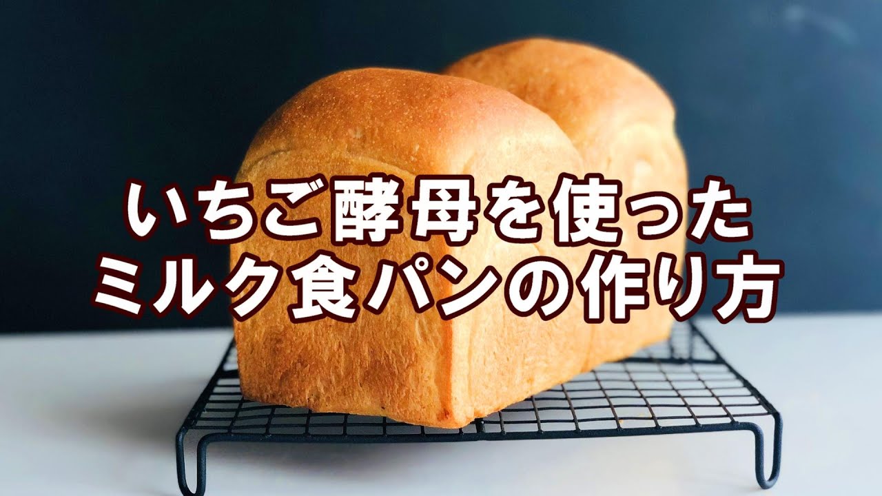 【いちご天然酵母】いちご天然酵母を使ったミルク食パンの作り方|パン日和