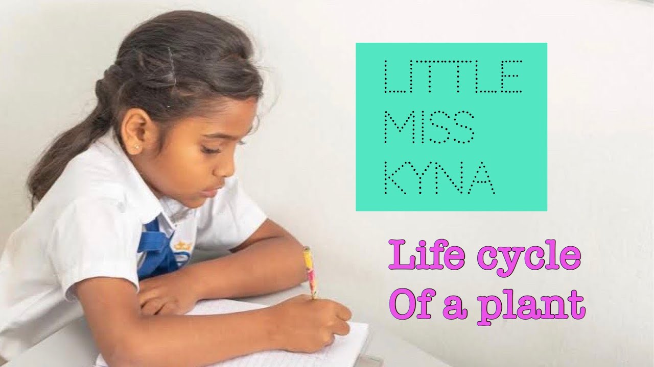 Little miss Kyna's class - life cycle of a plant