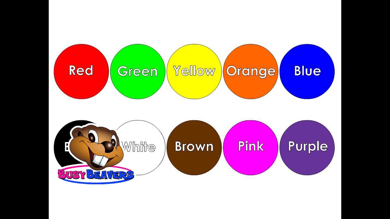 “The Color Song” (Level 1 English Lesson 15) CLIP - English Study, Learning Colors, Baby Education