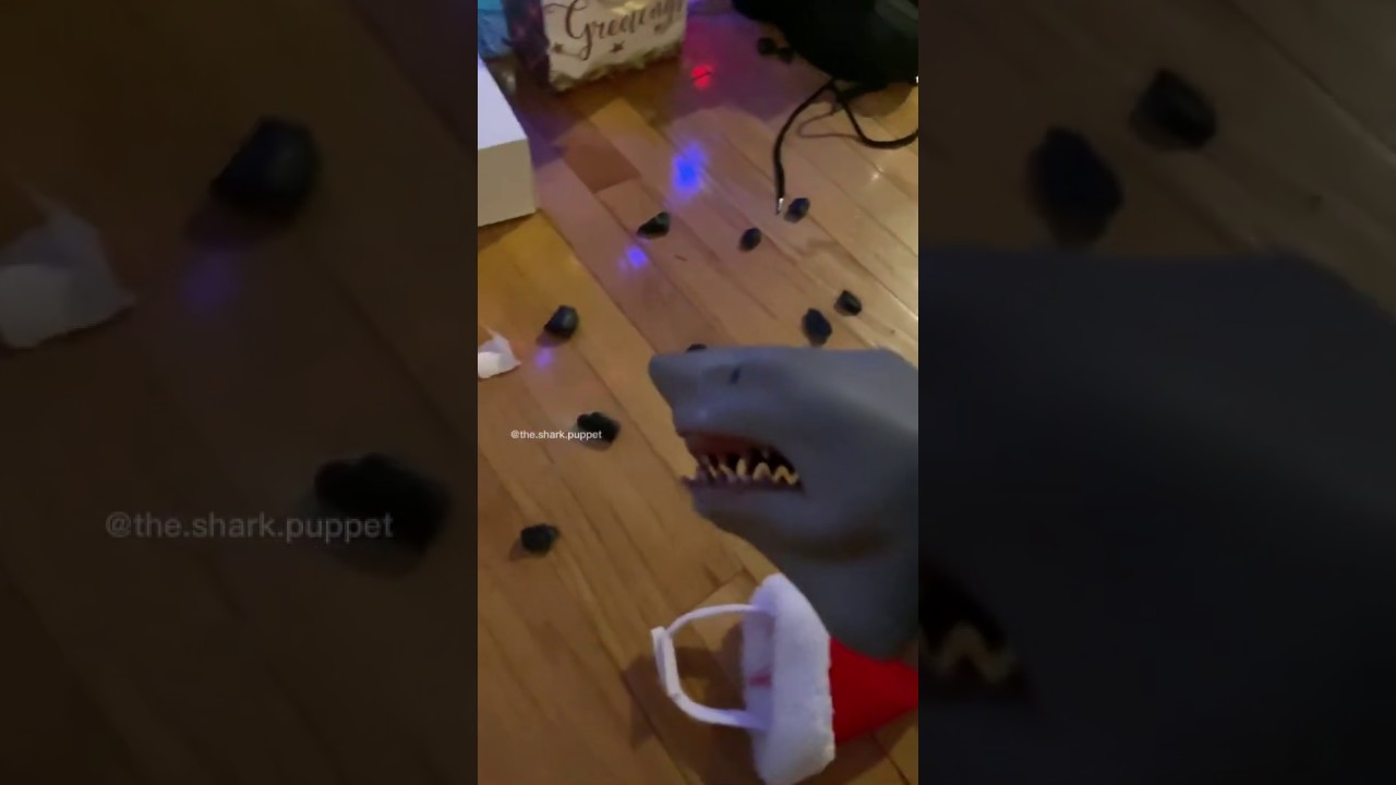 SHARK PUPPET GETS COAL FOR CHRISTMAS!!!!!