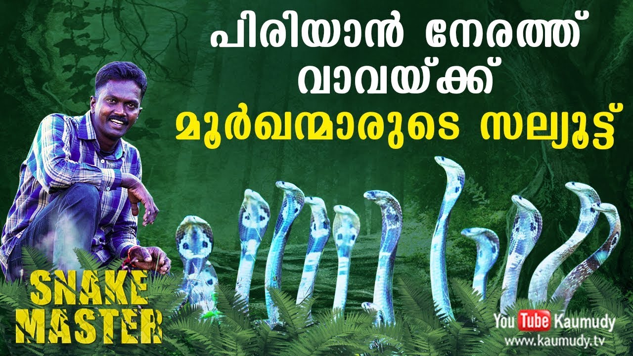 പിരിയാൻ നേരത്ത്  വാവയ്ക്ക്  മൂർഖന്മാരുടെ  സല്യൂട്ട്