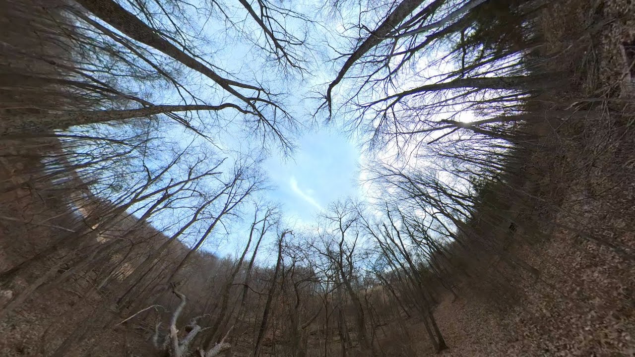 360° VR Forest Walk on Nyblad Trail | Immersive Amphitheater Hike & Nature Ambience