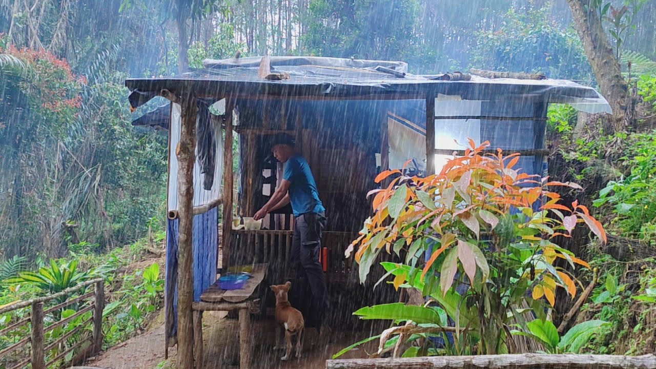 kegiatan Rutin Selama Tinggal Di Pondok Kebun Hutan - Di temani Hujan Gerimis Dan Secangkir teh