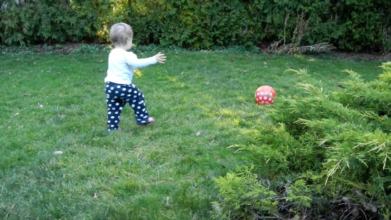 Cat attacks baby - funny !!!