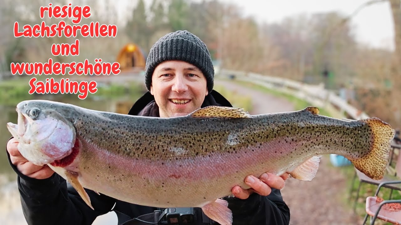 Forellenangeln im Winter Gummiköder Lachsforellen Garlstedter Fischzucht Ultralight Angeln Saibling
