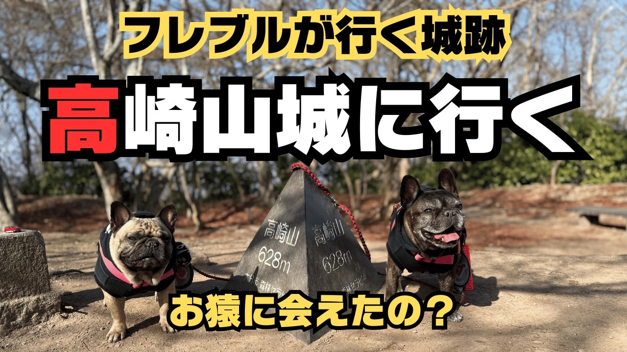 【フレブルが行く城跡】詳細解説！高崎山城に行く