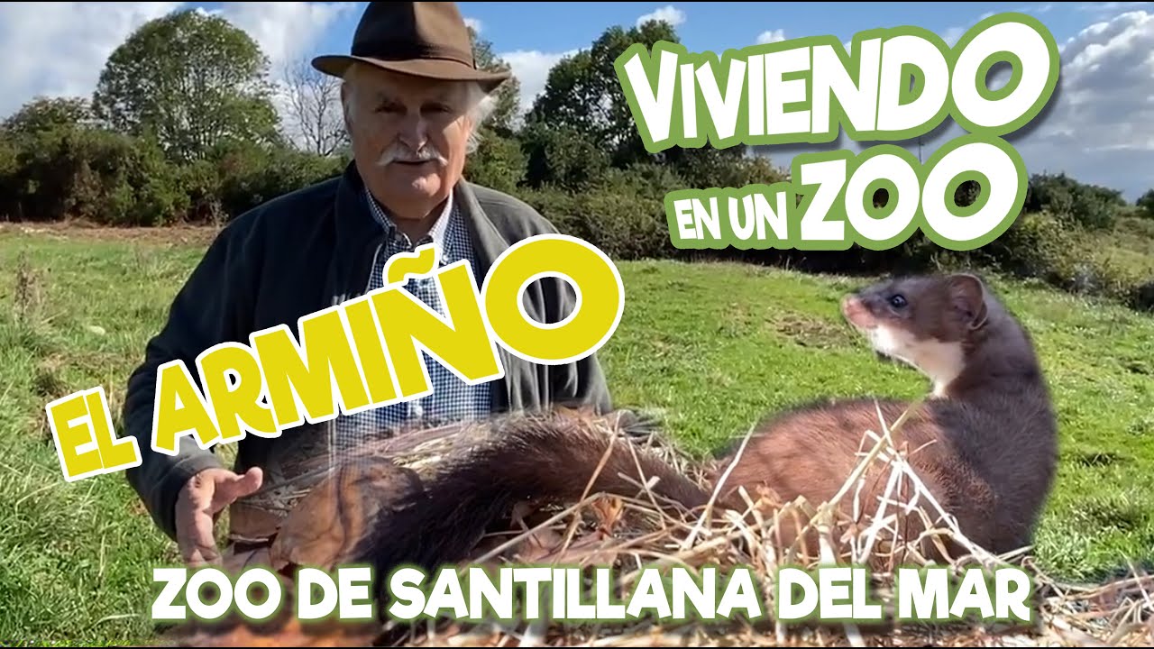 El Armiño