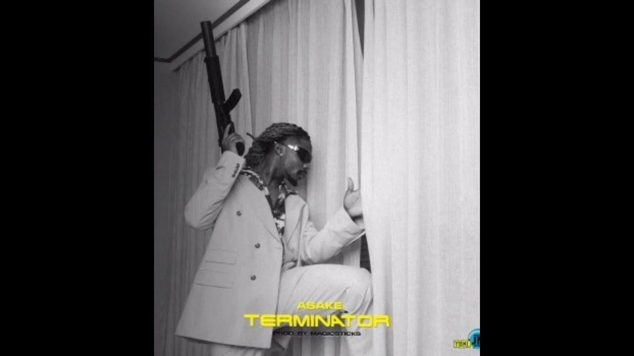 ASAKE - TERMINATOR ( OFFICIAL AUDIO)