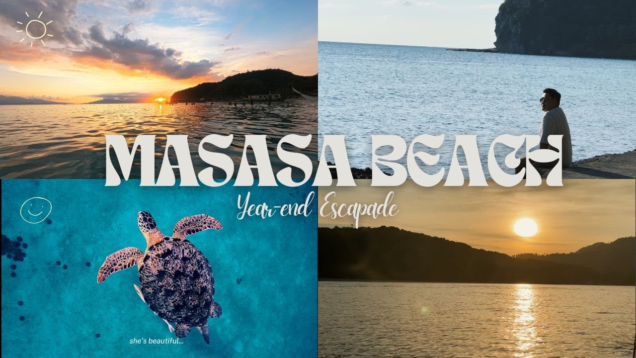 MASASA BEACH 🌴 | Snorkeling with Sea Turtle 🤿 | Fish Feeding 🐠