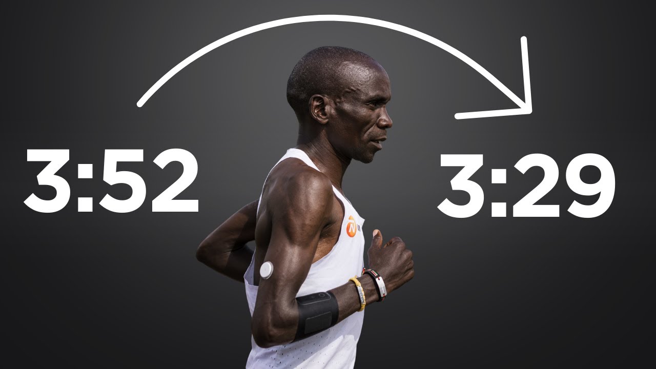 The Ultimate 4-Phase Marathon Plan To PR