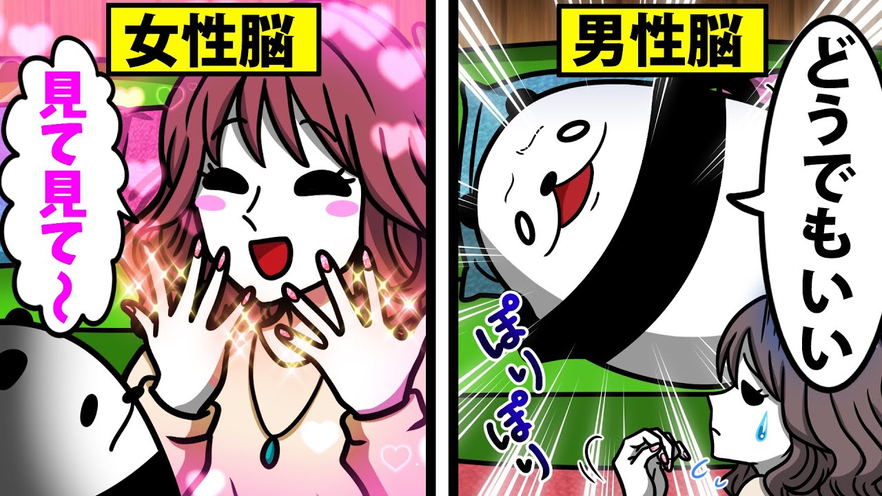 【アニメ】"男性脳"と"女性脳"の考え方が違いすぎた…！あなたはどっち？