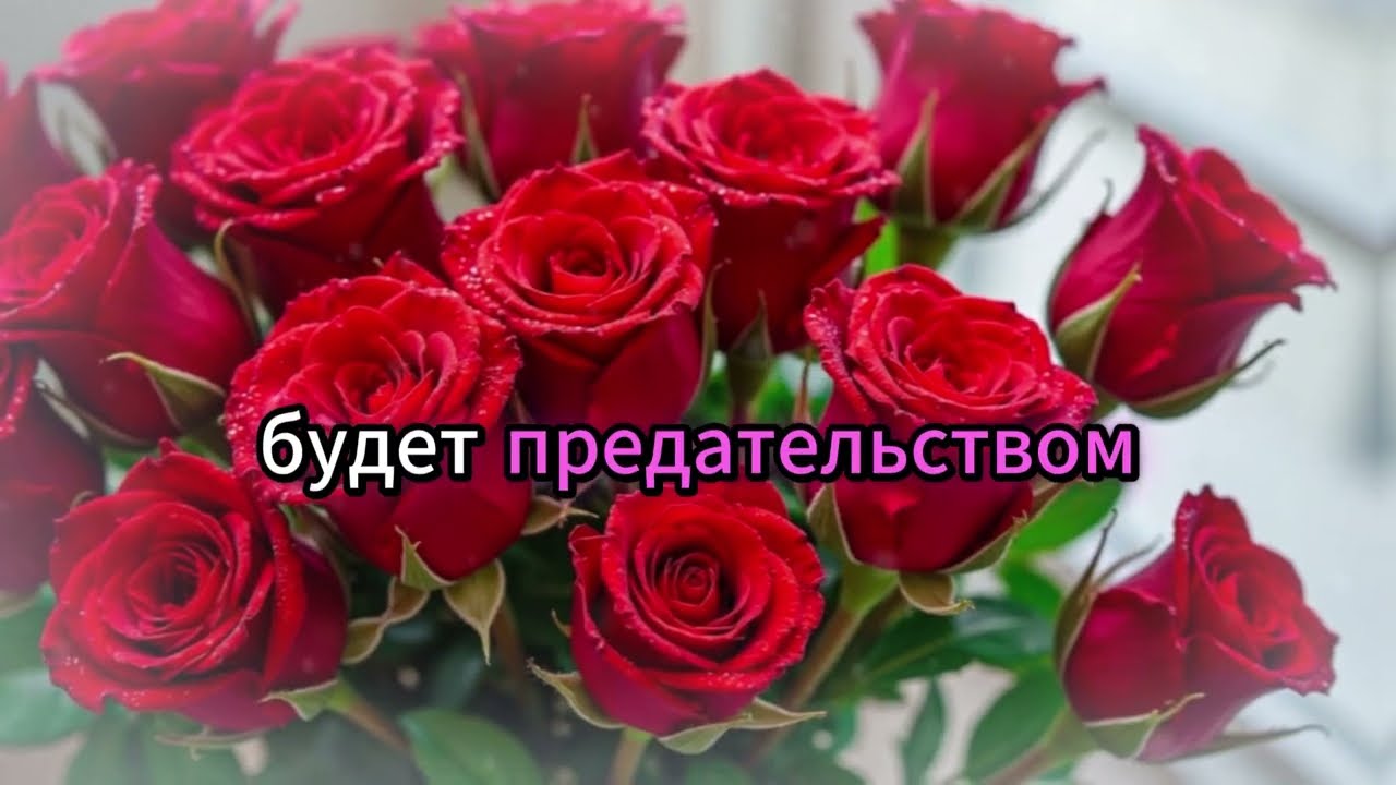 Тёща исполнила желания зятя вместо дочери — шокирующая реальная история!