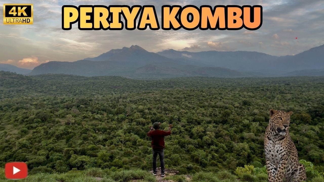 🔥காட்டுக்குள் ஒரு இரவு 😍 | பெரியகொம்பு லாக் ஹவுஸ் @SimbaaVlogs