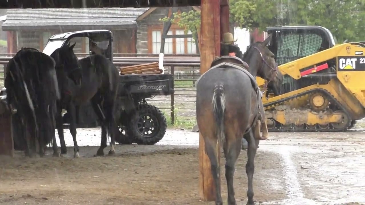 Camping at a farm and gristmill Harvest Host
