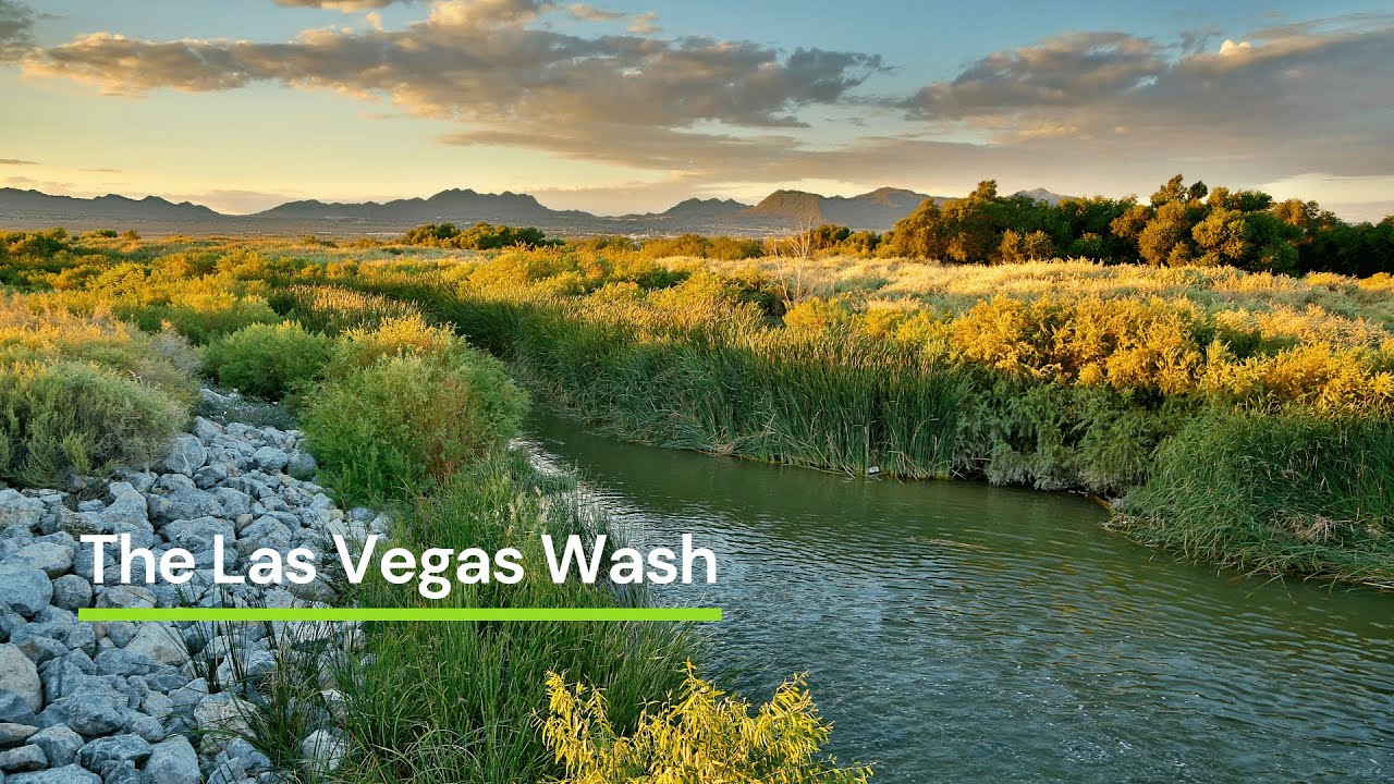 LV Wash Overview