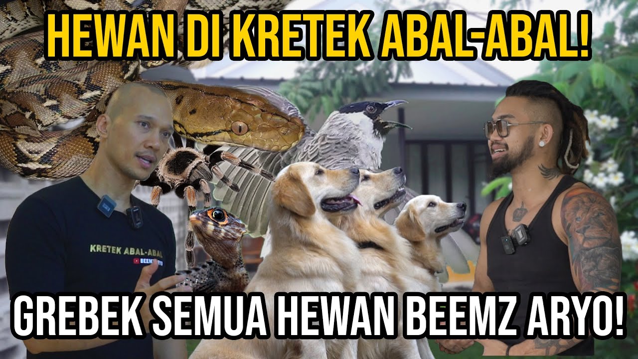 HEWAN DI KRETEK ABAL-ABAL! GREBEK SEMUA HEWAN BEEMZ ARYO!