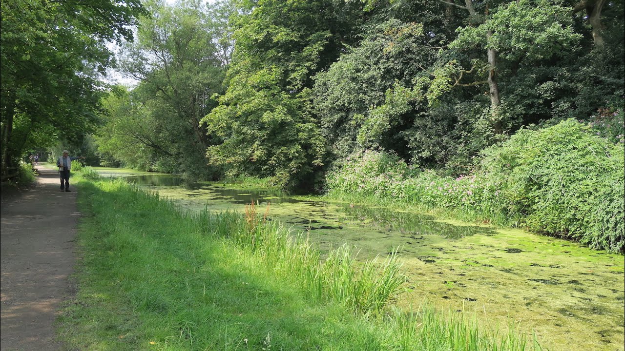 Park Bridge and Daisy Nook - Tameside