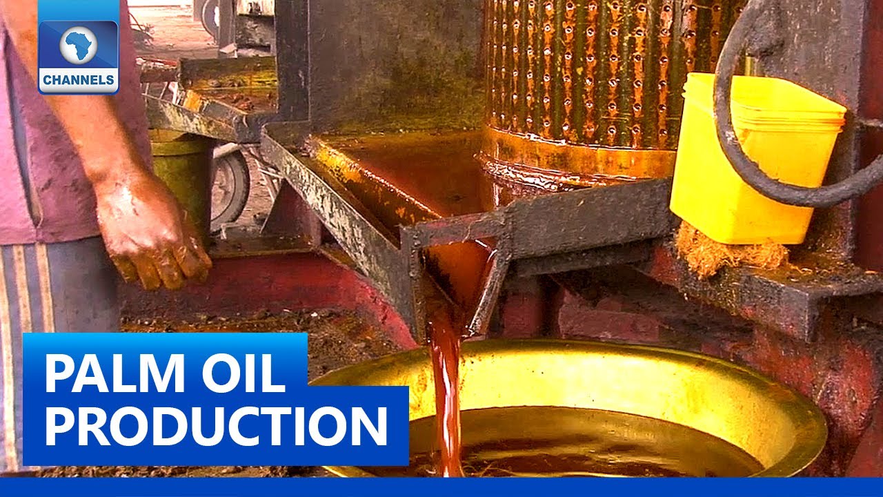 Local Producers Of Palm Oil Seek More Attention From Government