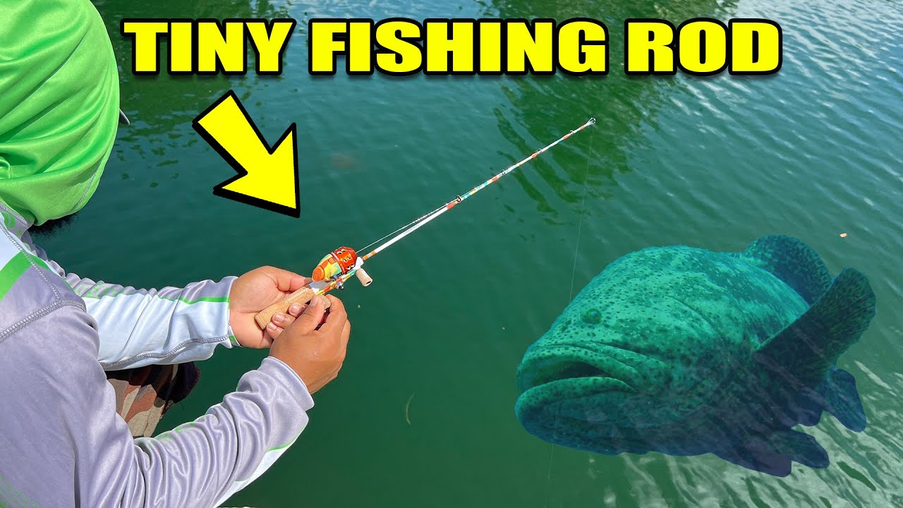 Tiny Fishing Rod VS Big Fish | Monster Mike