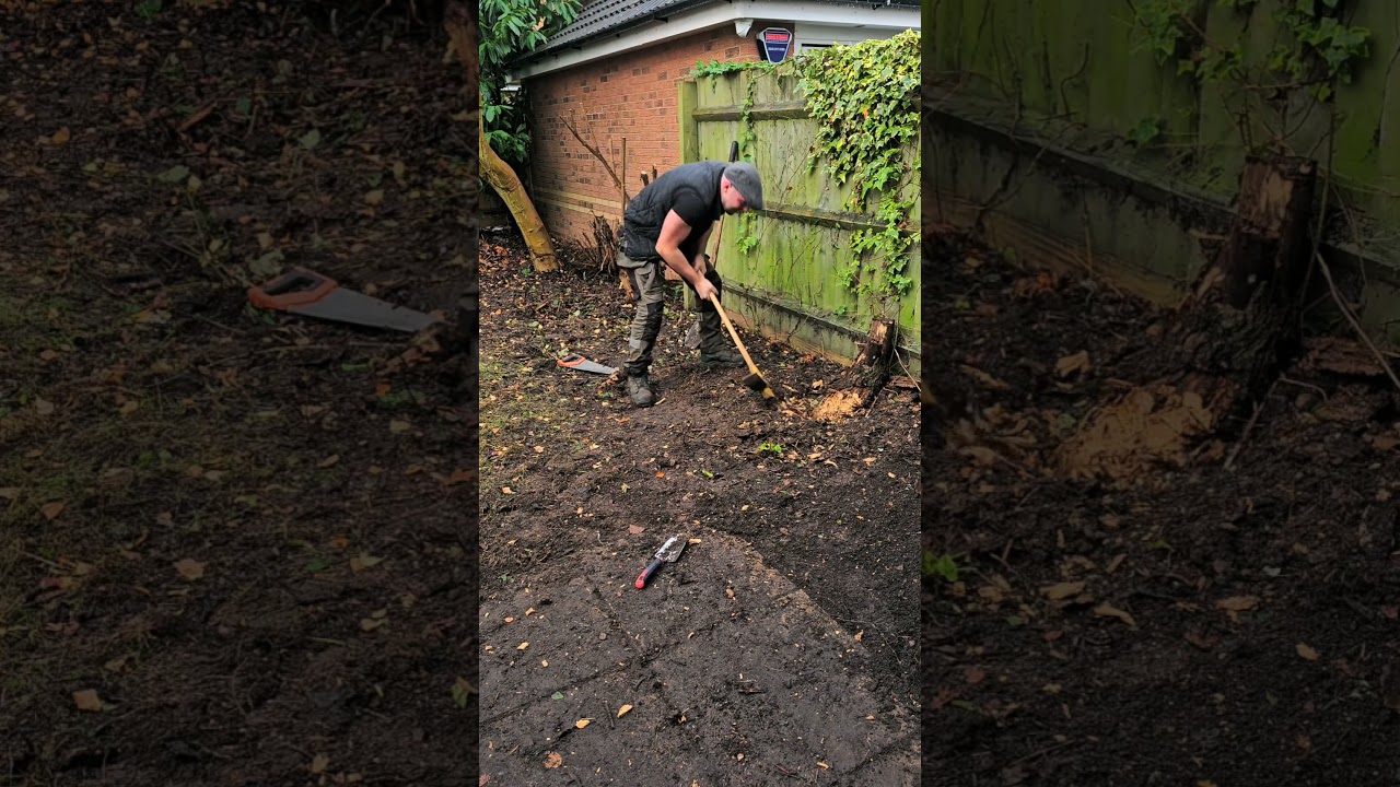 Garden clearance in 60 seconds! What would you do in the garden now? #satisfying #powerwashing