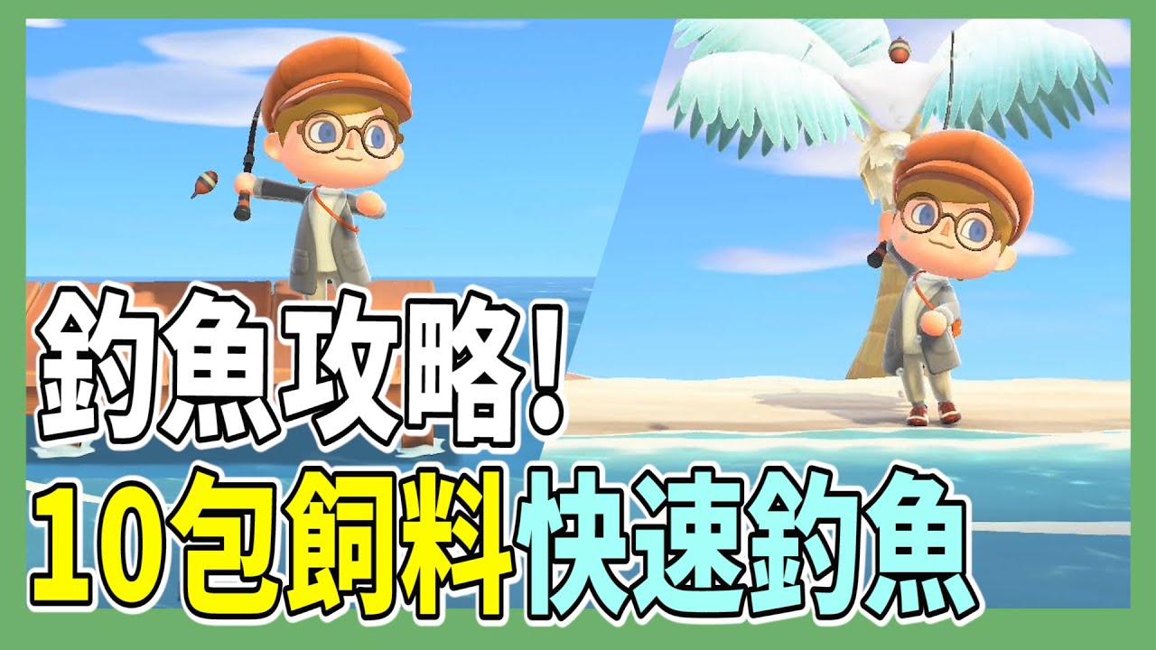 【mikao攻略】10包飼料釣魚攻略，快速蒐集魚類圖鑑、標本｜各水域機制完整解析