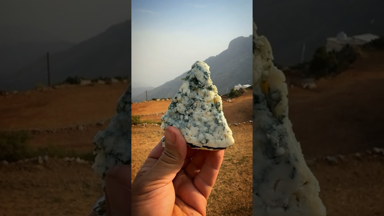 تجربة الجبنة المعفنة
