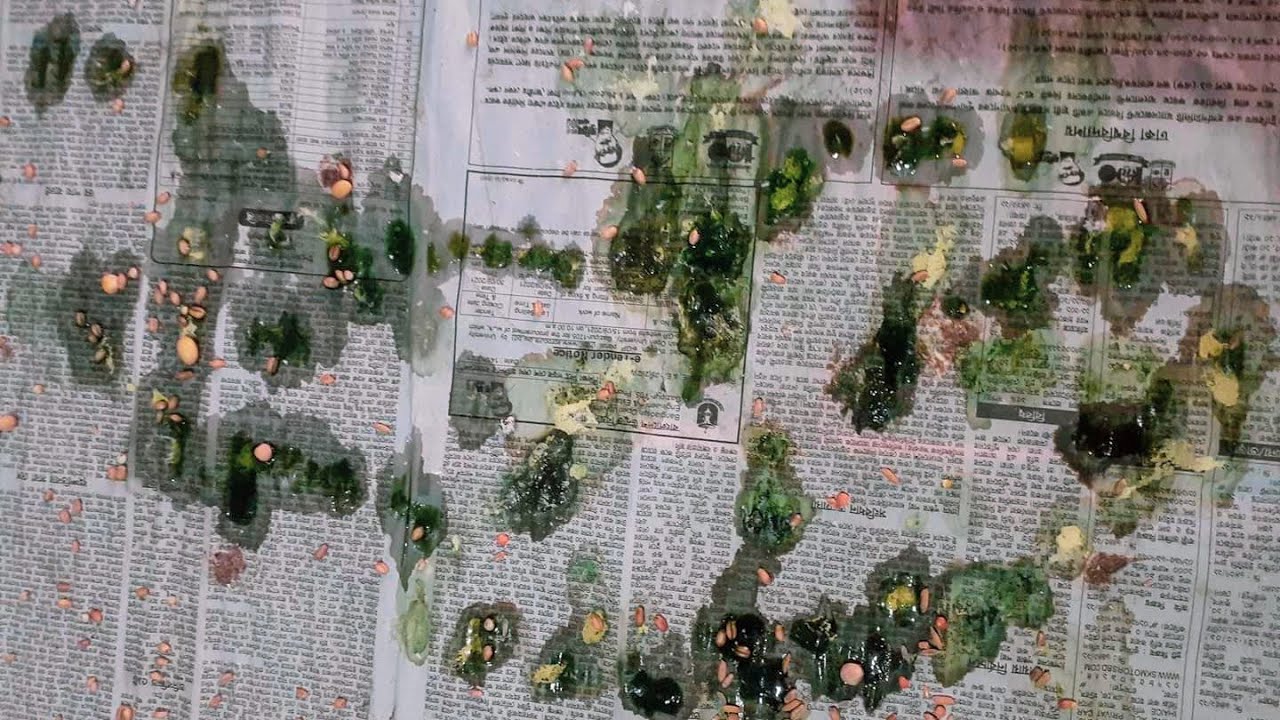 শীতে কবুতরের সবুজ পায়খানা ও ঠান্ডার চিকিৎসা