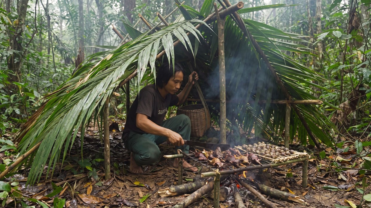 Primitive Rainforest Survival 🌧️ Building Shelter, Searching for Food and Living Off Nature Alone