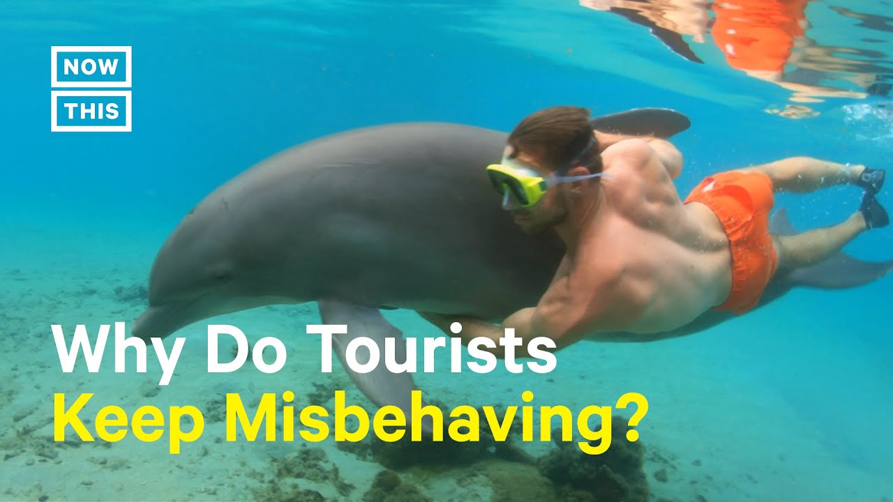 Why Do Tourists Keep Misbehaving in Foreign Countries?