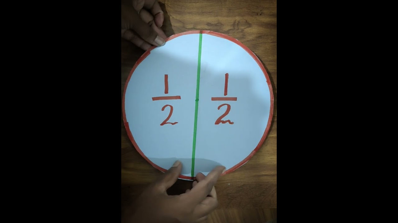 Fraction Activity / Fraction 🖋🖋🖋