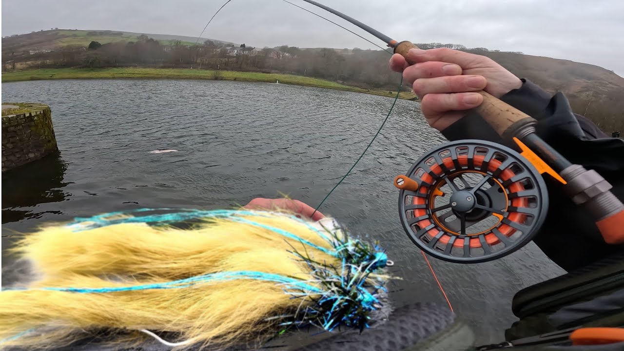 DEADLY SNAKES!! Goodbye to a wet and windy January