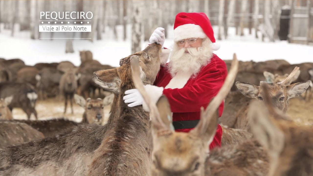 ¡Feliz Navidad! Clínica dental en Barrio Salamanca Madrid - 91 577 39 44 Clínica Ciro