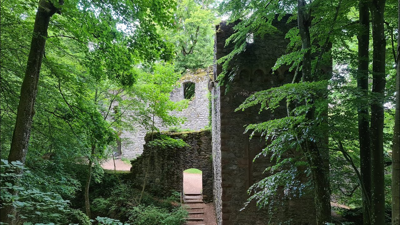 Burg Rodenstein