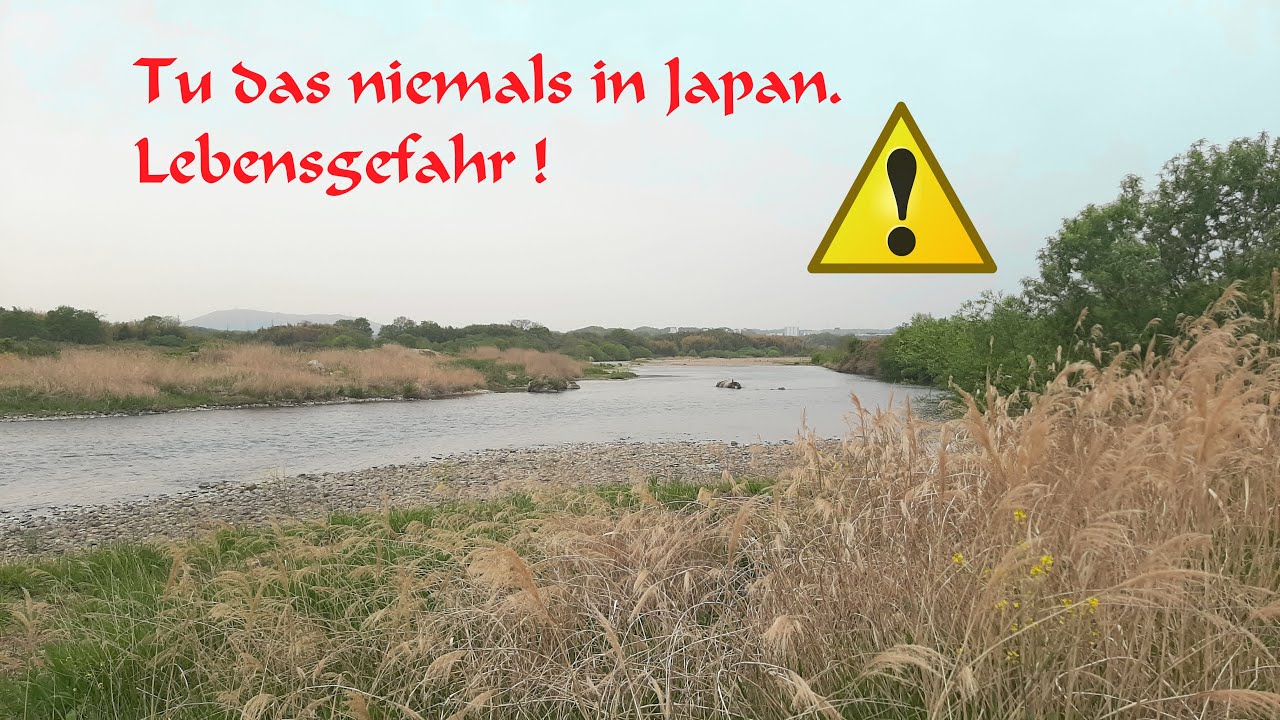 Dieser Fehler in Japan hätte uns fast das Leben gekostet