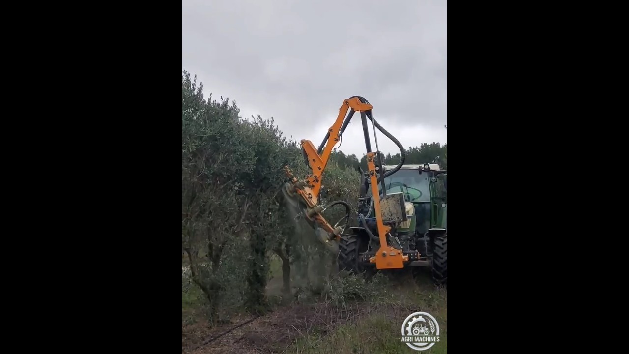 Disc Pruner DISCO in Action || Field Demo in France || Season 2026 in France || #orchard #pruning
