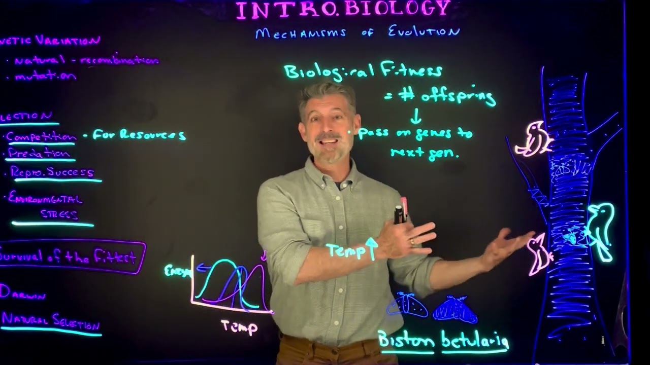 Overview of Natural Selection and Biological Fitness