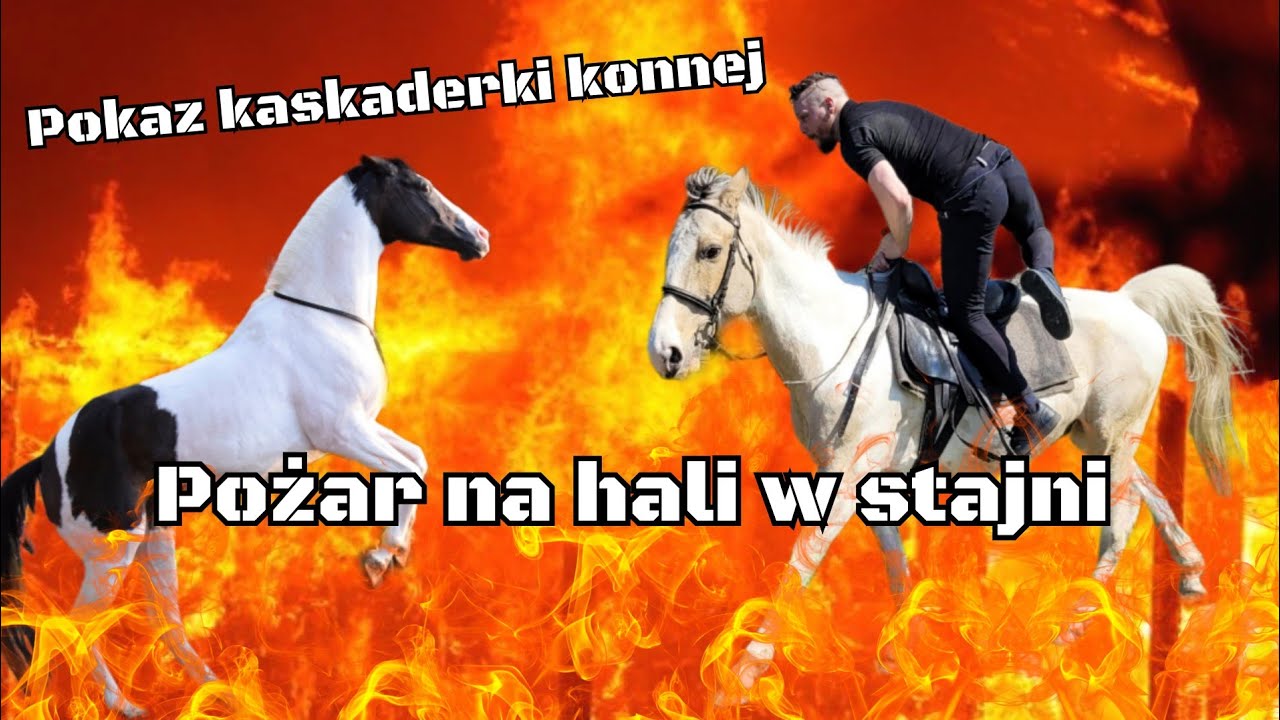 POŻAR NA HALI W STADNINIE KONI‼️