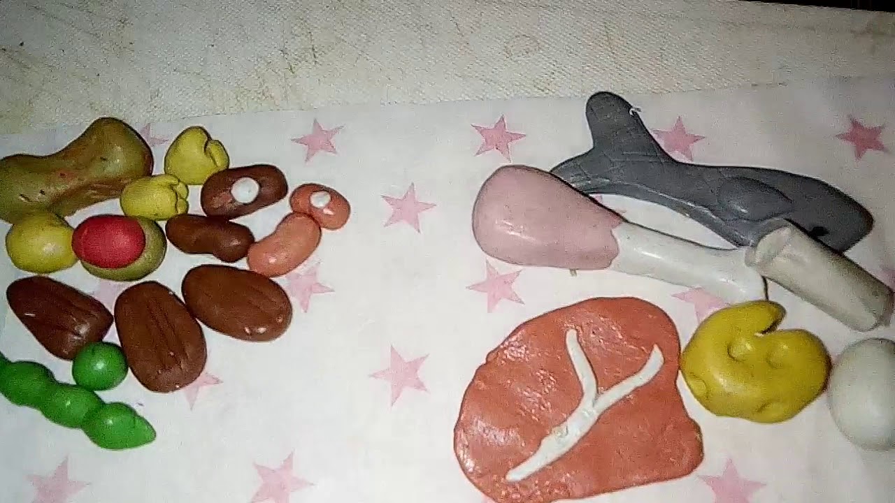 Plato del buen comer cereales, frutas,verduras, carnes, leguminosas de plastilina