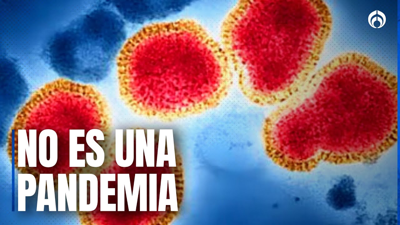 Crece alerta por nueva variante de influenza: &iquest;Qu&eacute; tan peligrosa es?