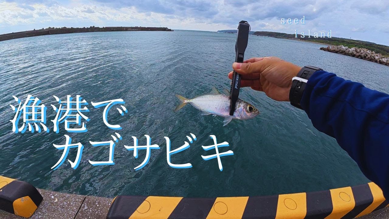 【移住生活】秋めいてきた海で地元の釣り方を実践してみる【種子島】