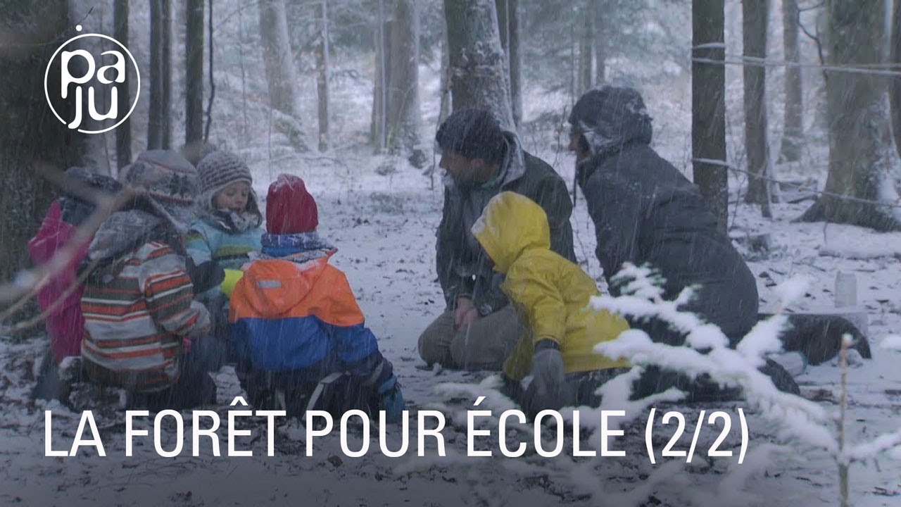 Pendant un an ces écoliers ont suivi leurs cours tous les jours dans la forêt (2/2)