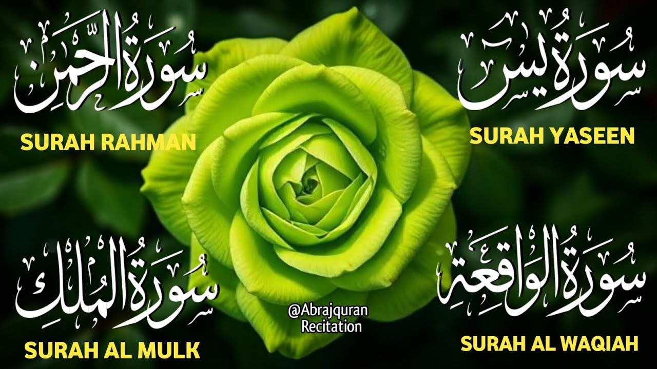 Surah Yaseen ❤ Surah Rahman ❤ Surah Al Waqia ❤ Surah Al mulk Soothing Quran recitation | Ep000423