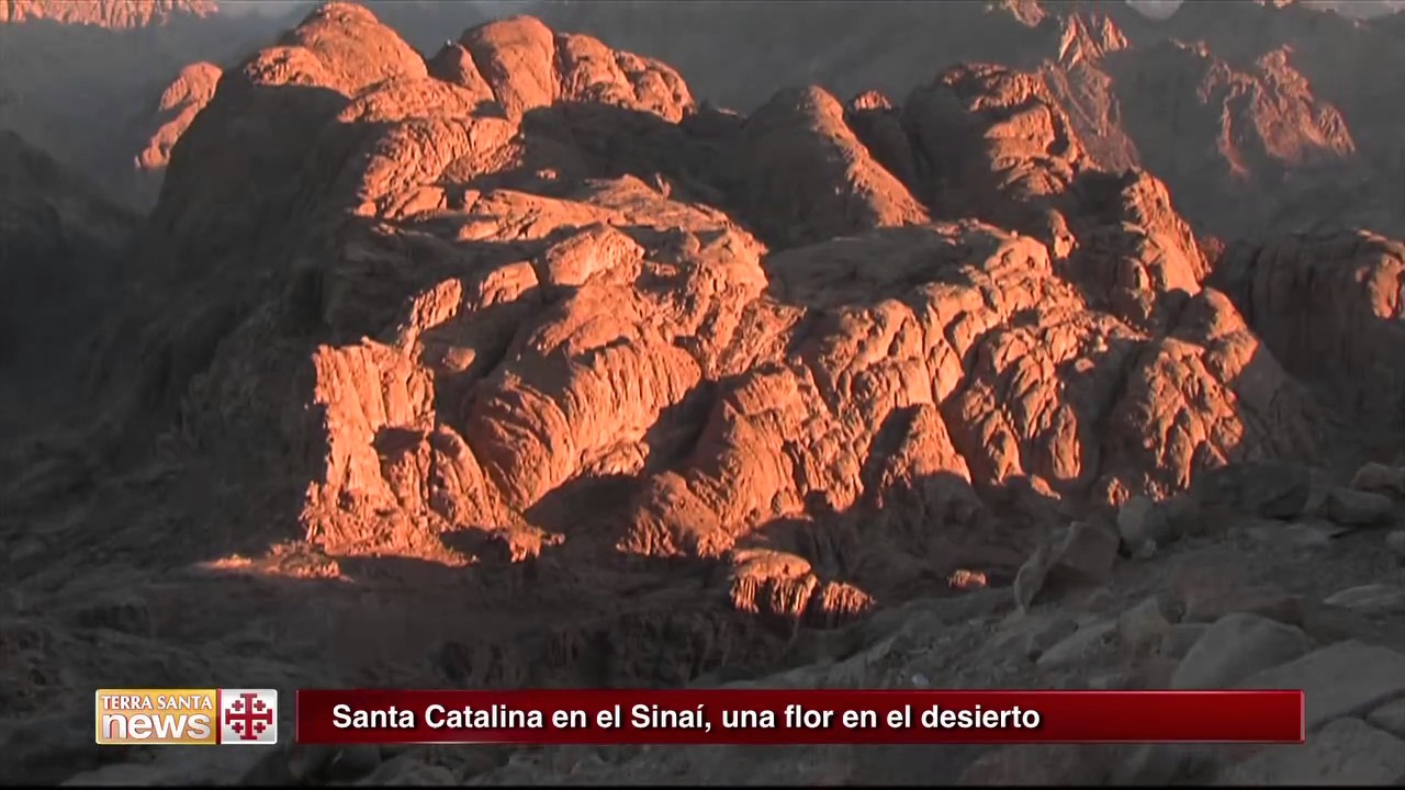 Santa Catalina en el Sinaí, una flor en el desierto