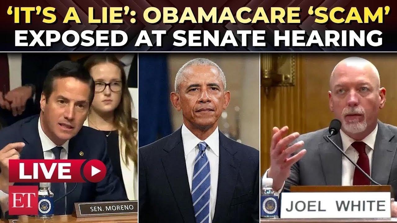 &lsquo;If Obamacare is so great, why aren't YOU all on it?&rsquo;: ACA 'scam' exposed at fiery senate hearing