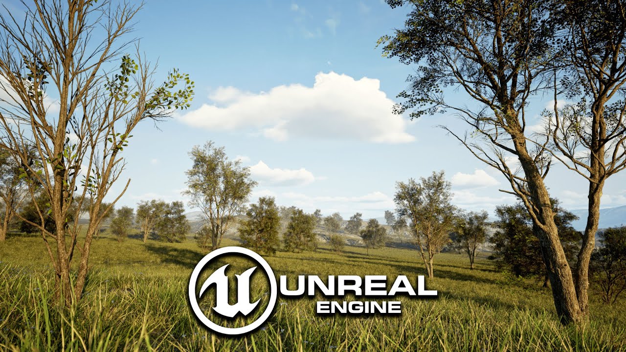 Учебное пособие для начинающих по Unreal Engine 5 | Создание лесного окружения в UE5